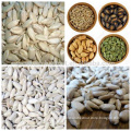 Hot Sale China New Blanched Sunflower Seeds Kernels